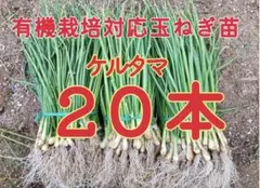 かお様 リクエスト 2点 まとめ商品