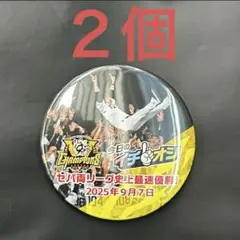 【２個】阪神タイガース／イチオシ缶バッジ「セパ両リーグ史上最速優勝！」