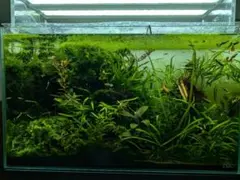 2026年最新】ada アクアスカイの人気アイテム - メルカリ