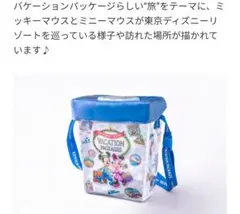 東京ディズニーリゾート　バケーションパッケージ　スーベニアポップコーンケース