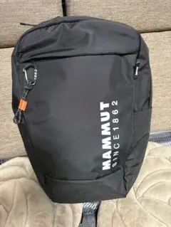 Item thumbnail for item 47457507-1544-4935-98f3-4bfdee9efe77