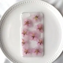 ハム平様専用ページ★押し花ケース