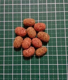 Item thumbnail for item 32a48806-94f8-46ef-8ee5-c69c4a0c8028