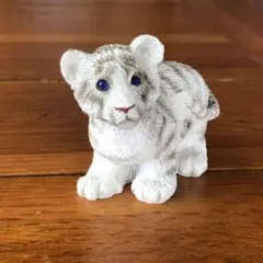 2025年最新】サンディキャストの人気アイテム - メルカリ