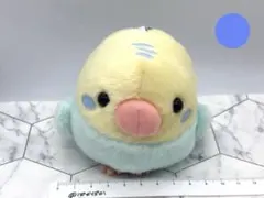 2025年最新】ことり隊 セキセイインコの人気アイテム - メルカリ