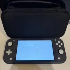 Nintendo Switch Lite グレー 本体　sdカード付き