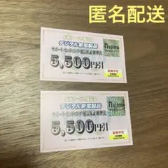 【匿名配送】ノジマ 優待 店頭サービス デジタル家電製品 サポート　2枚セット