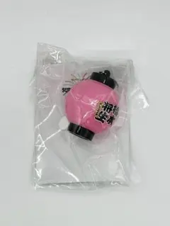 timelesz橋本将生　ぬい＆ちょうちんキーホルダー&ライトバングル timelesz バングルライト ちょうちんキーホルダー 橋本将生 - メルカリ