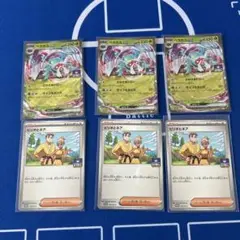 ベラカスex ビリオとネア　ジムプロモカードパック第8弾 PROMO SV-P