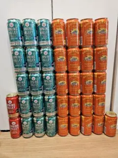 11【350ml×38本】キリングッドエール、スプリングバレーのサムネイル