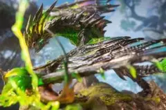 モンスターハンター 電竜ライゼクス フィギア スタチュー