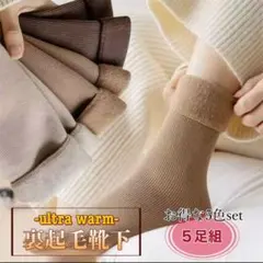 【冬物処分】レディース 裏起毛 極暖 Snow ソックス 5足組 ブラウン系