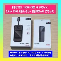 Item thumbnail for item f0ad00e6-9671-400c-a4ac-488e5174e63d