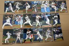 プロ野球チップスカードヤクルト19枚セット