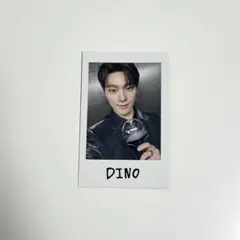 SEVENTEEN RIGHT HERE ディノ チェキ フォトカード トレカ