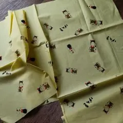 Item thumbnail for item 9d859e17-e293-4c74-aef5-63801fb05992