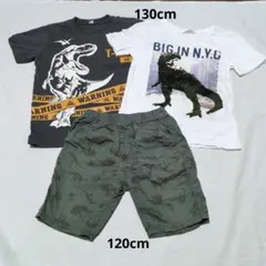 130cm 120cm 恐竜デザインTシャツ2枚とショートパンツセット