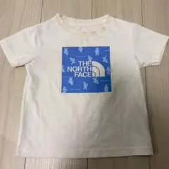 THE NORTH FACE SHIRETOKO Tシャツ