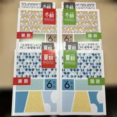 早稲田アカデミー６年下13冊セット　未使用 早稲田アカデミー6年下13冊セット 未使用 早稲田アカデミー6年下13