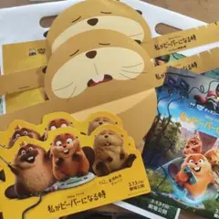 私がビーバーになる時 フライヤー3点、サンバイザーセット