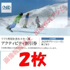 日本駐車場開発　株主優待券　リフトを含むスキー場　アクティビティ割引券２枚