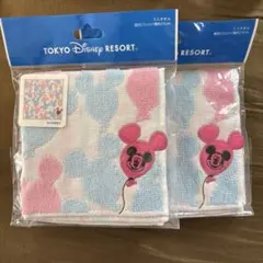 TOKYO DISNEY RESORT ミニタオル