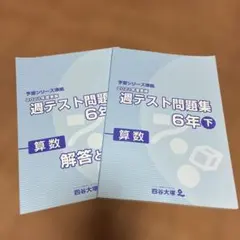 2026年最新】四谷大塚 週テスト 6年の人気アイテム - メルカリ