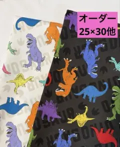 2枚保育園幼稚園ランチョンマット25×30cm カラフル恐竜ホワイト　ブラック