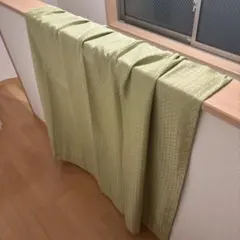 ライトグリーン テクスチャー付きカーテン2枚