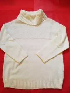 タートルネックセーター ニット