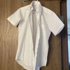 Item thumbnail for item 04a87fec-0546-4d30-bdeb-c7716954c6c8