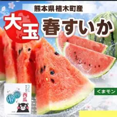 産地直送 熊本植木町スイカ【2玉入り】7kgと8kg 産地直送 熊本植木町スイカ【2玉入り】7kg - メルカリ