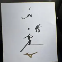2026年最新】村上宗隆 サイン色紙の人気アイテム - メルカリ