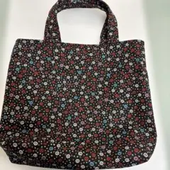 Item thumbnail for item d2228051-b7f3-4959-b601-2ec5c0caf059