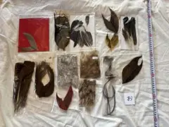 Item thumbnail for item fdca652b-9943-4428-84cf-d3f8d05341f7