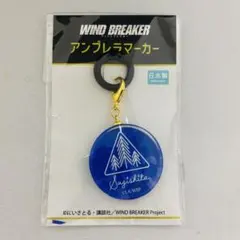 WIND BREAKER ウィンブレ アンブレラマーカー 杉下京太郎