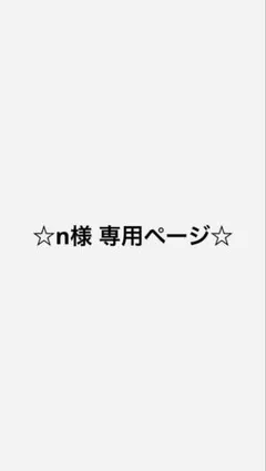 n様 専用ページ