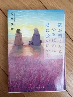 夜が明けたら、いちばんに君に会いにいく