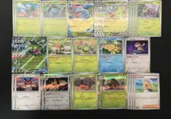 ポケモンカード　メガヤンマ、オーガポン緑の面 構築済みデッキ