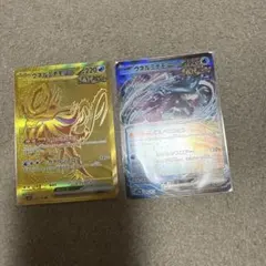 ウネルミナモEX 2枚セット