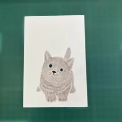 猫 イラスト 絵はがき 10枚 (234) ポストカード