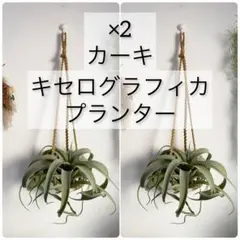 ★ 우드 링 마크라메 행거 ★ 제로그래피카 2용