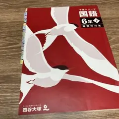 予シリ国語6下難関（解説別売り）