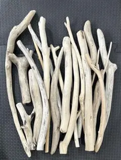 503☆曲がった　流木　10〜32センチ　ハンドメイド　オブジェ　工作材料パーツ