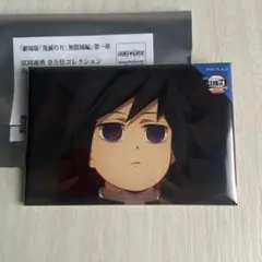 鬼滅の刃　無限城編　冨岡義勇　全方位コレクション缶バッジ