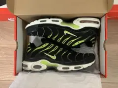 【美中古】AIR MAX PLUS ナイキ　マップラ 29cm