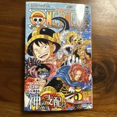 ワンピース 113巻　ロキ誕生
