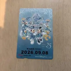 2026年最新】ディズニーリゾートライン フリーパスの人気アイテム