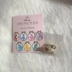 ディズニーストア プリンセス シークレットチャーム白雪姫