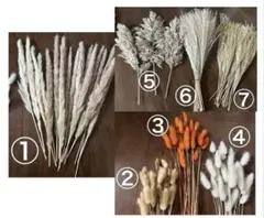 ドライフラワーセット